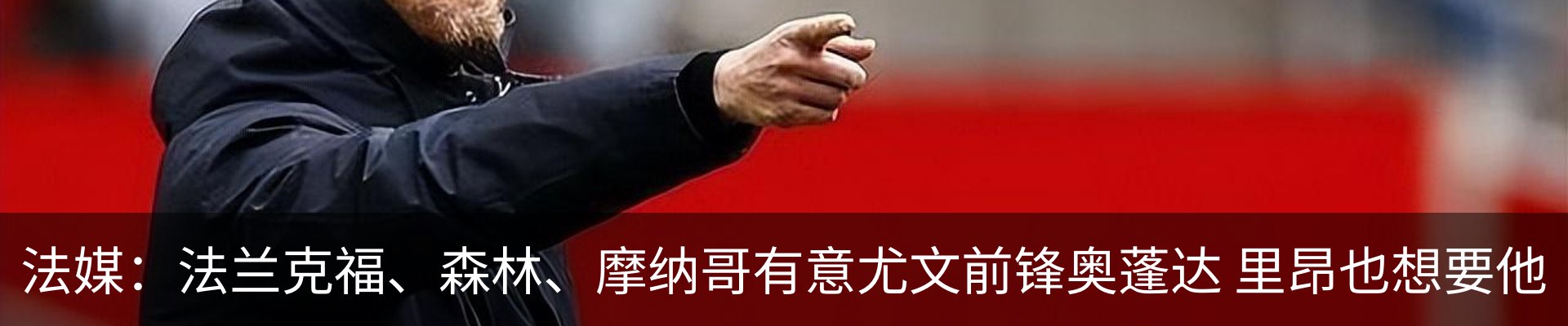 新闻动态