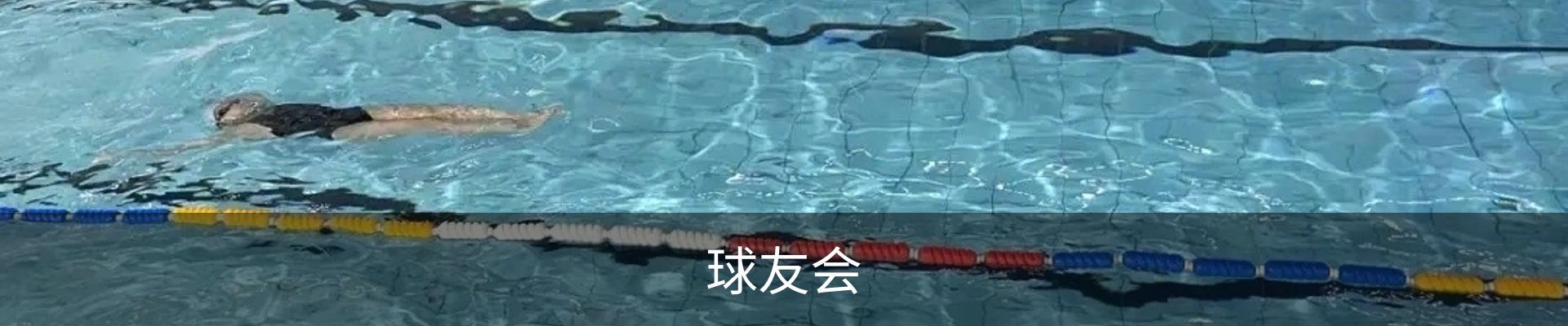 球友会